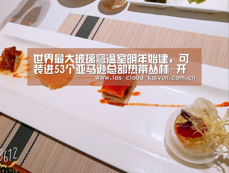 世界最大玻璃穹温室明年始建,可装进53个亚马逊总部热带丛林-开元棋牌app(图1) 世界最大玻璃穹温室明年始建,可装进53个亚马逊总部热带丛林-开元棋牌app(图1)