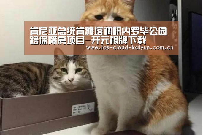 肯尼亚总统肯雅塔调研内罗毕公园路保障房项目-开元棋牌下载(图3) 肯尼亚总统肯雅塔调研内罗毕公园路保障房项目-开元棋牌下载(图3)