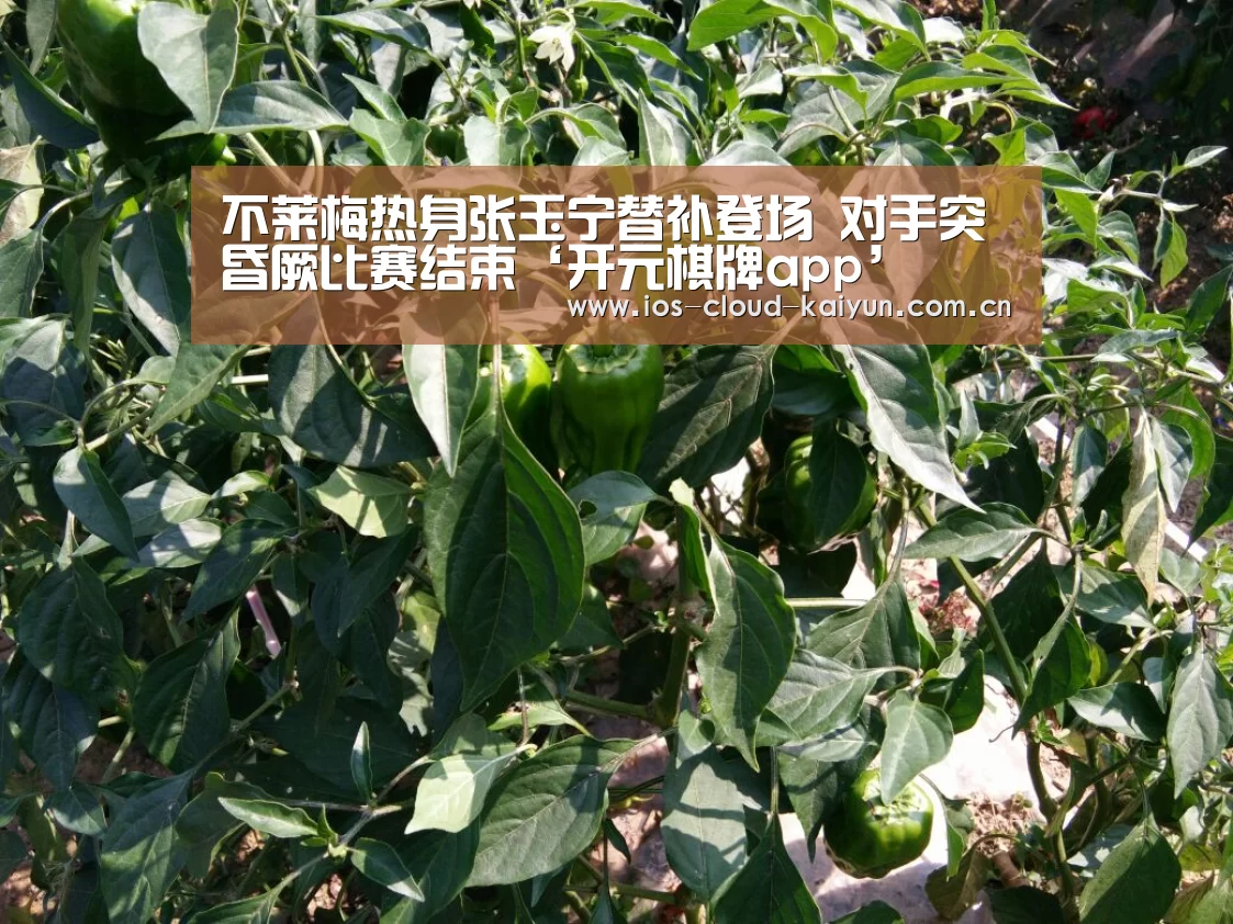 不莱梅热身张玉宁替补登场 对手突昏厥比赛结束‘开元棋牌app’(图1) 开元棋牌电脑版